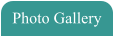Photo Gallery